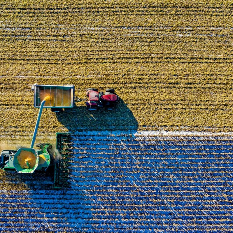 Harvesting machine in action
